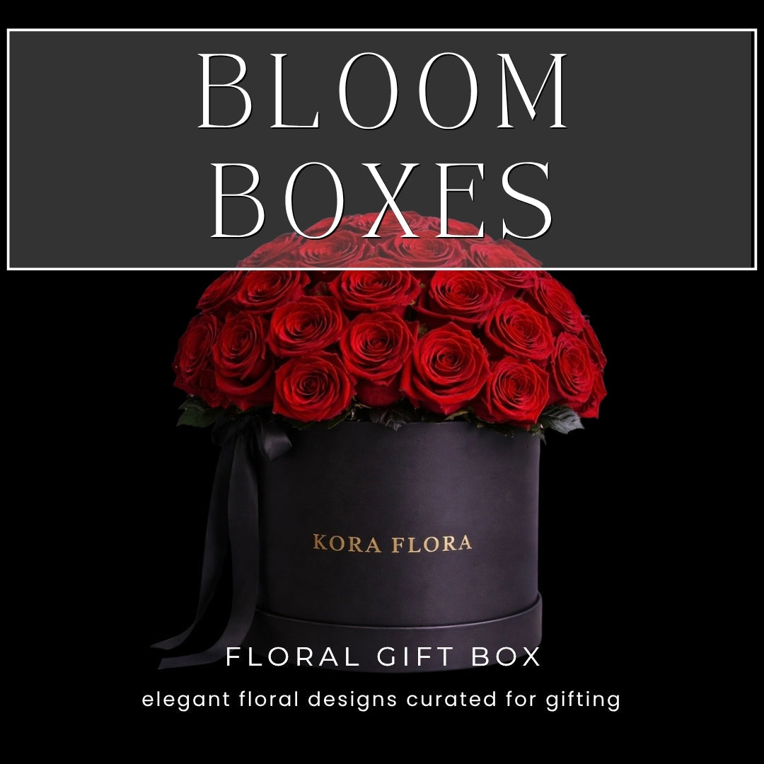 BLOOM BOXES
