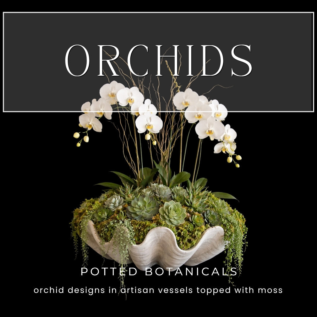 ORCHIDS