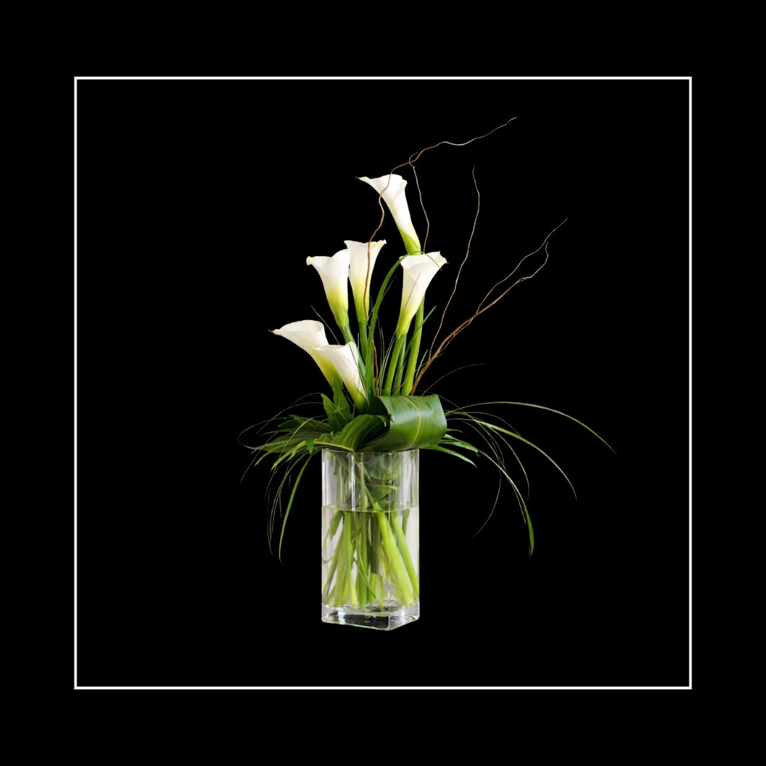 ATELIER CONCIERGE MEMBERSHIPS