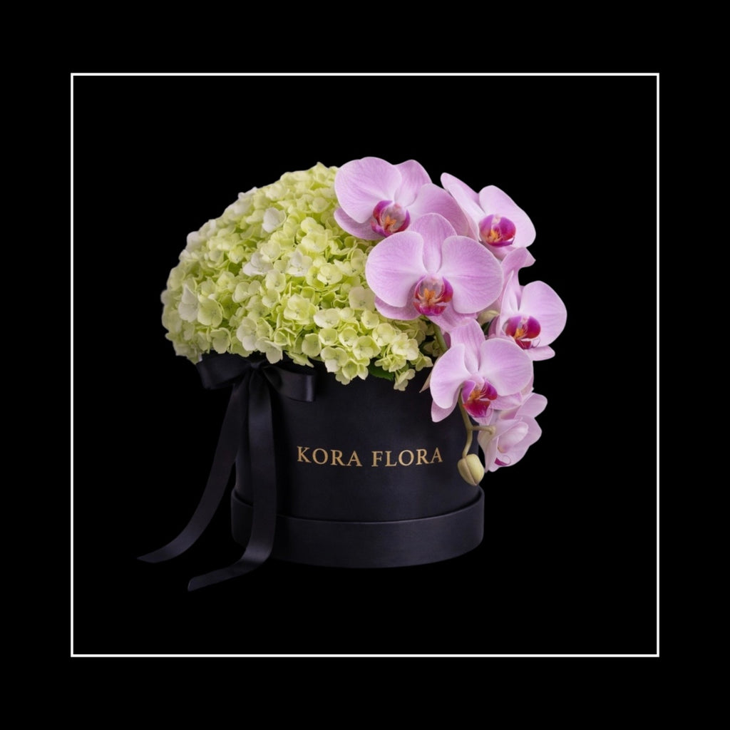 BLOOM BOXES