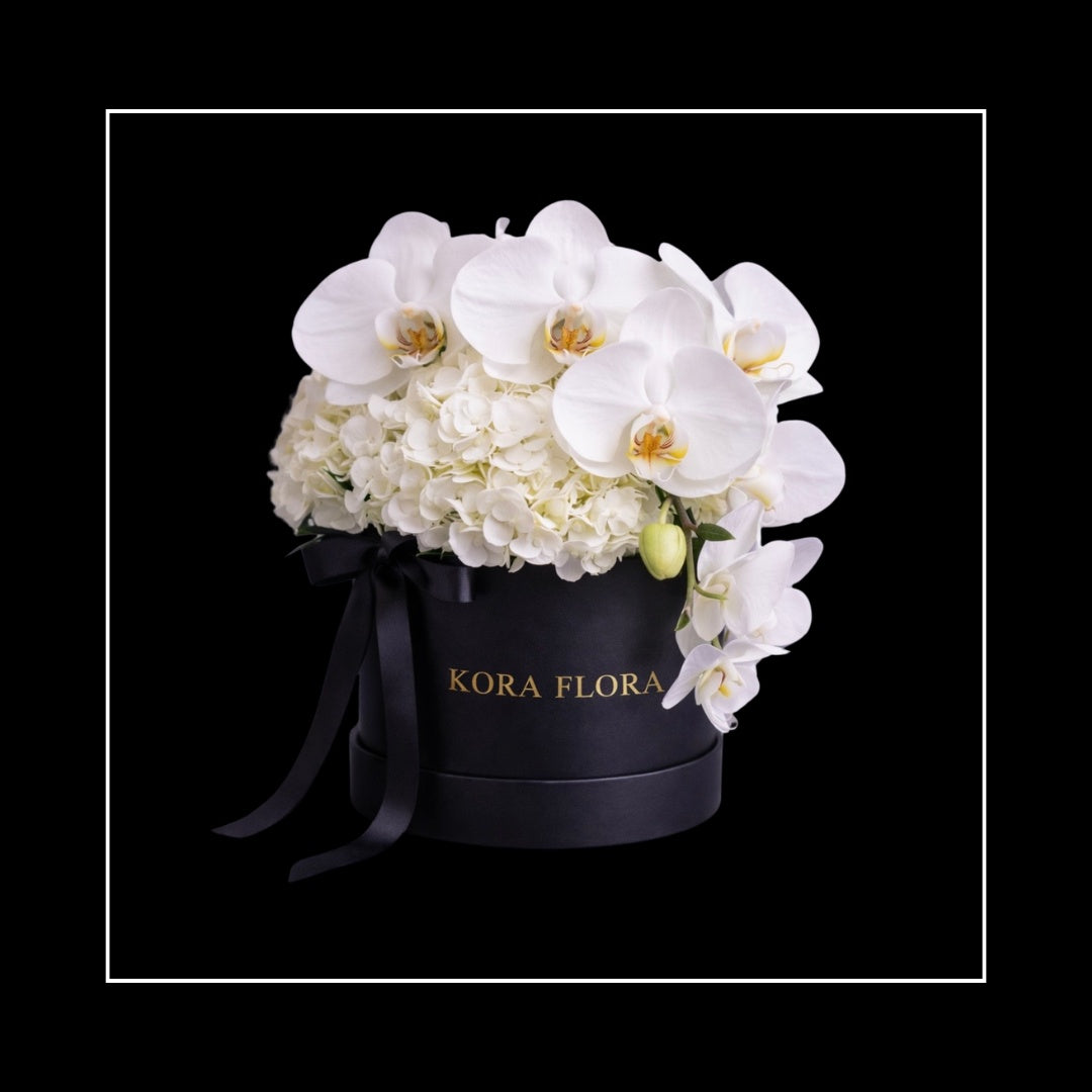 BLOOM BOXES