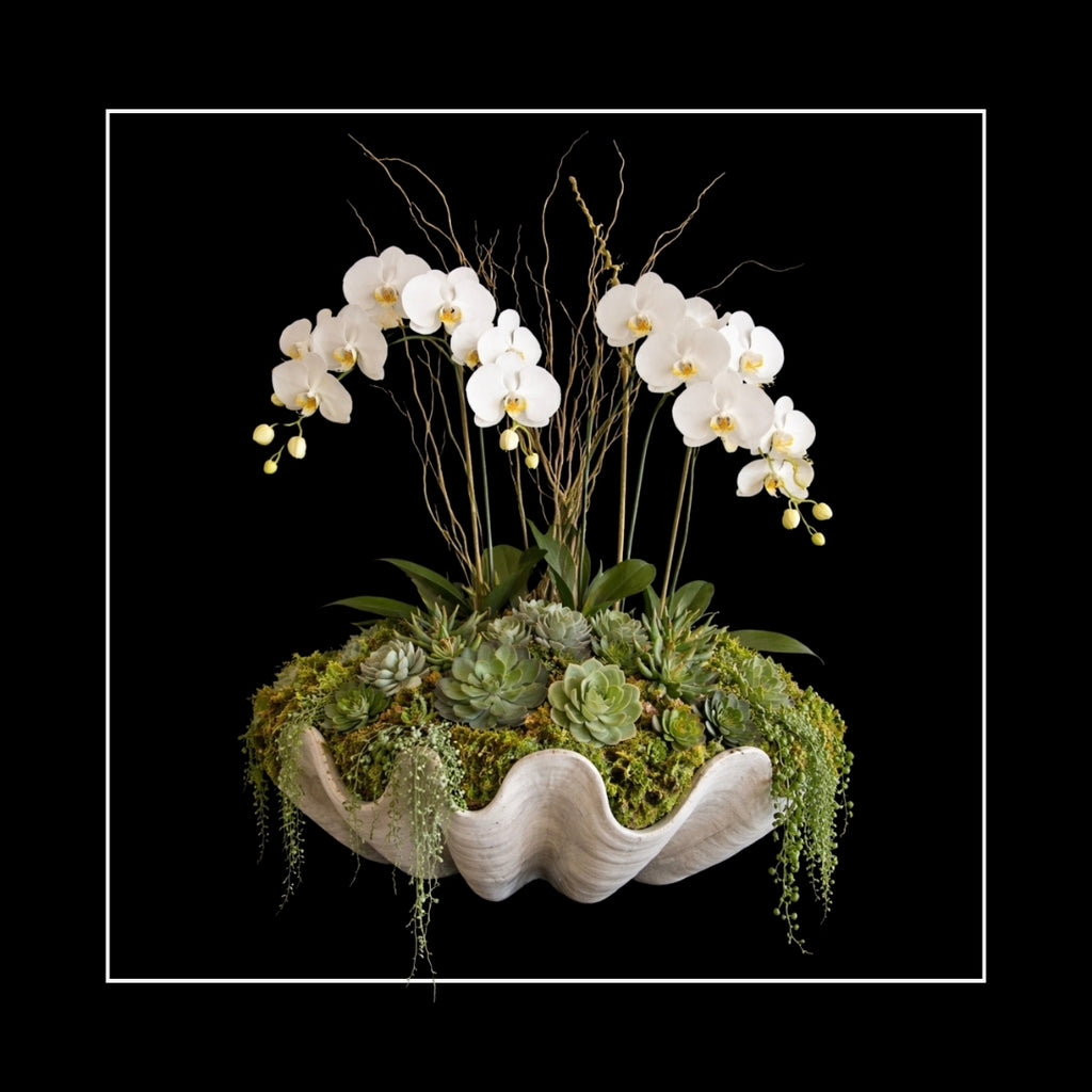 ORCHIDS