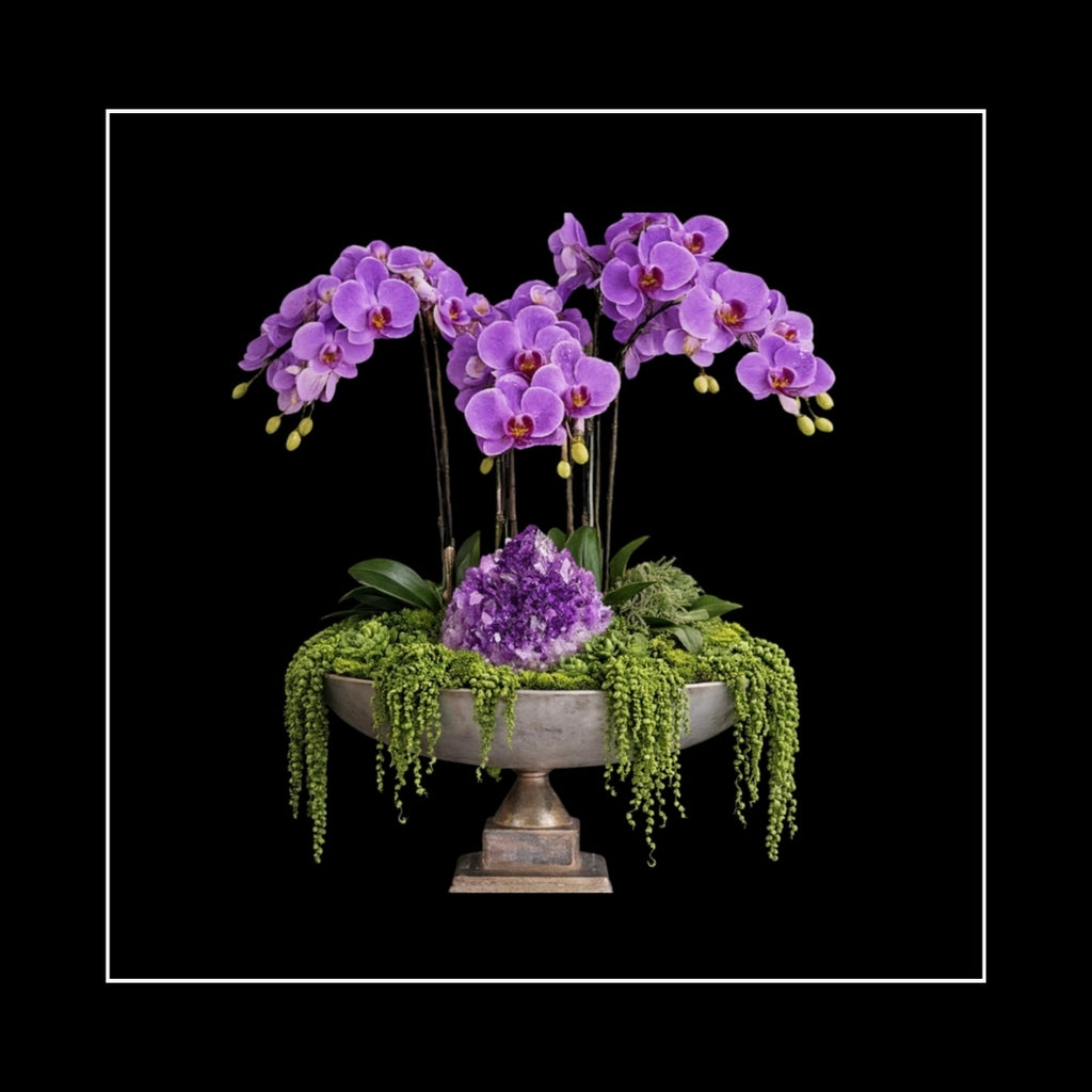 ORCHIDS