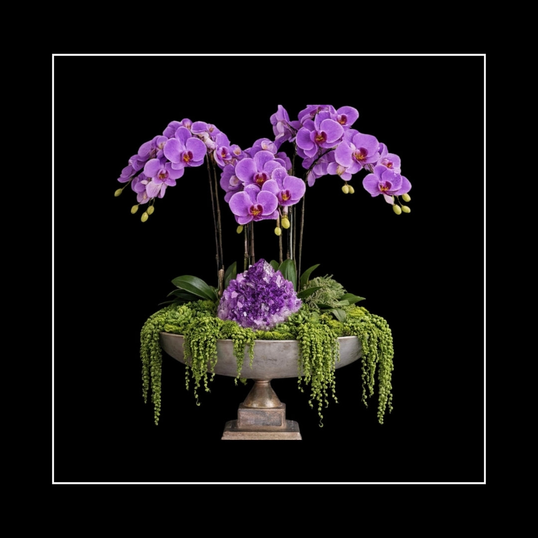 ORCHIDS