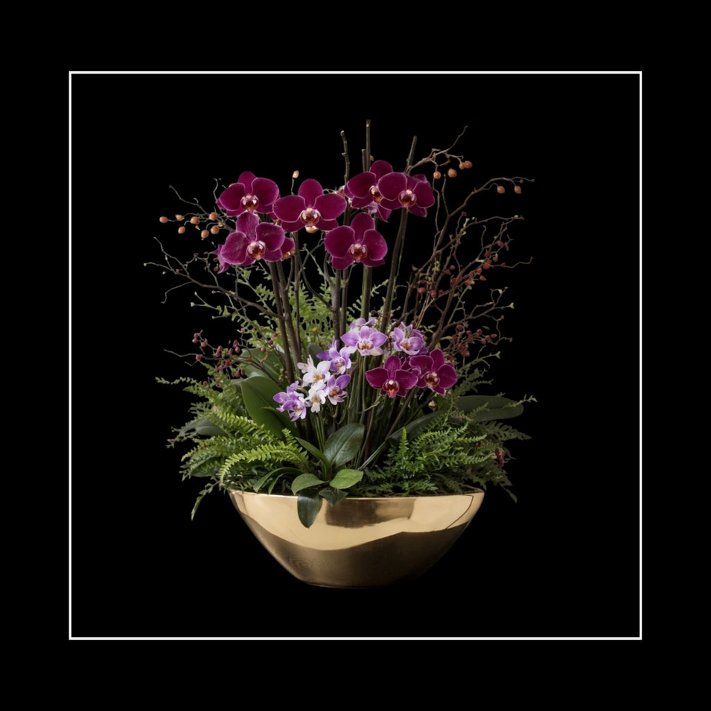 ORCHIDS