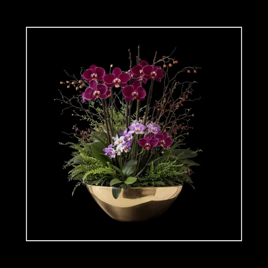 ORCHIDS