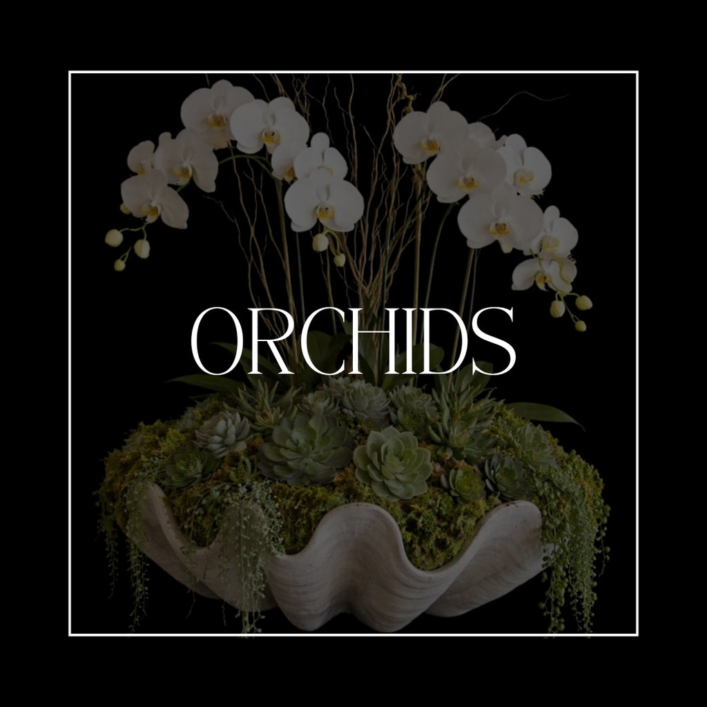 ORCHIDS