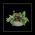 SUCCULENT GARDEN