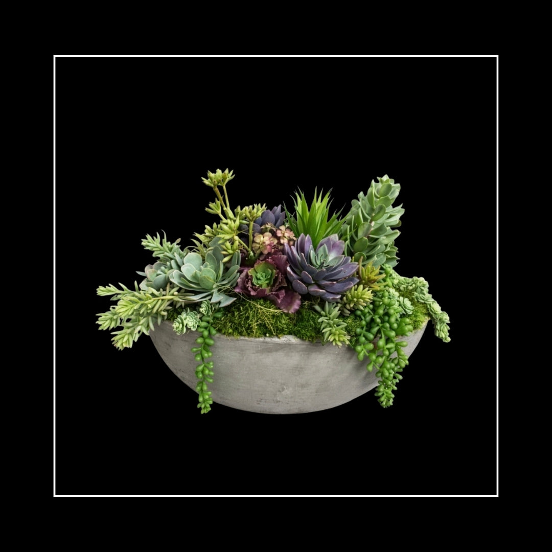 SUCCULENT GARDEN
