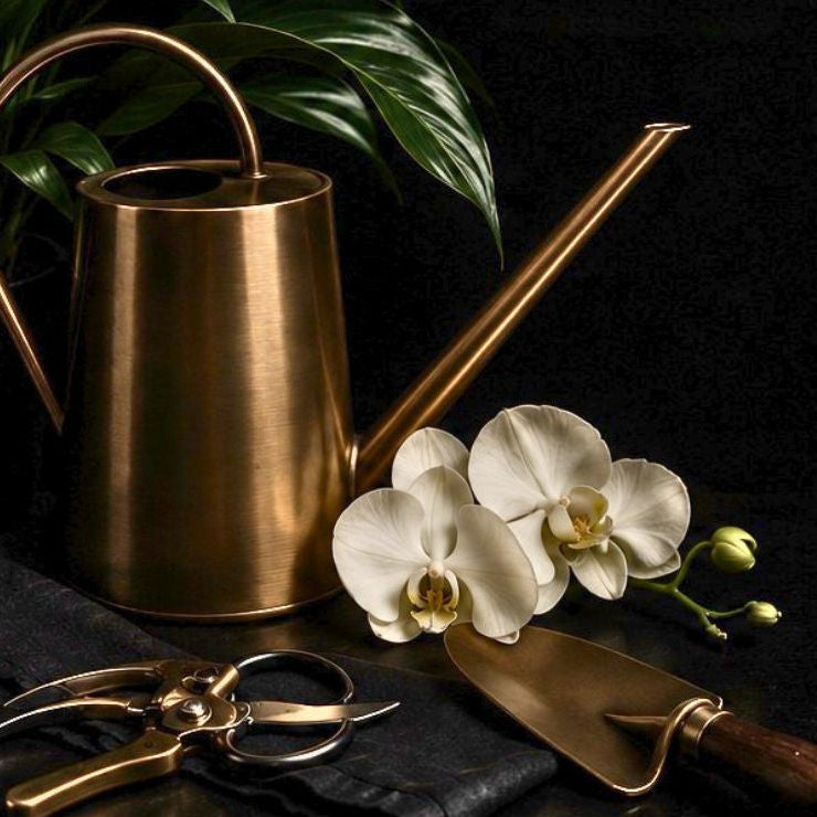 STEWARDSHIP CONCIERGE SERVICES