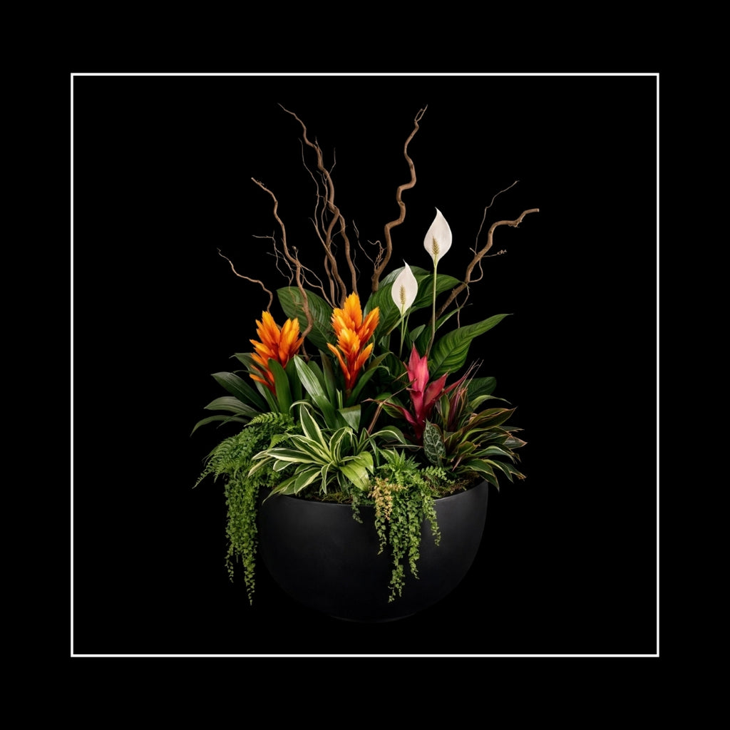 TROPICALS
