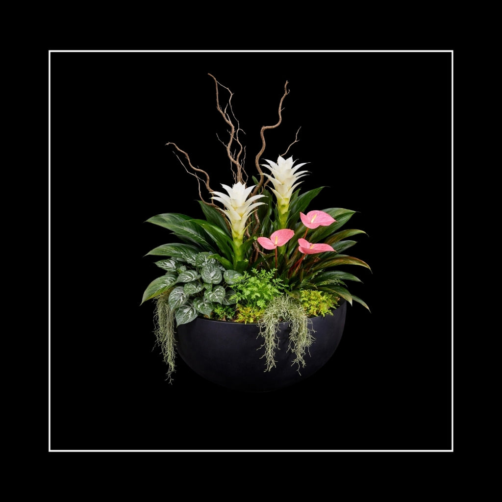 TROPICALS
